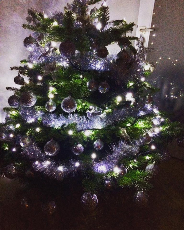 Čtenářská fotogalerie vánočních stromečků
