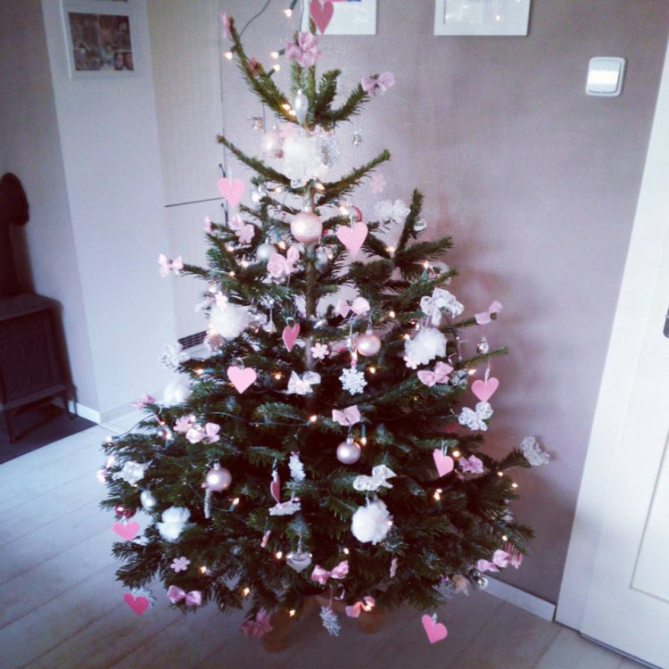 Čtenářská fotogalerie vánočních stromečků