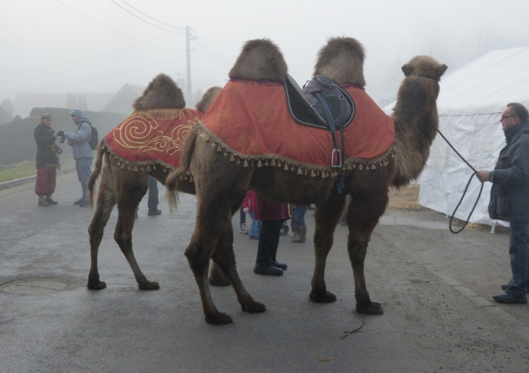 V Měříně se před zraky tří tisícovek lidí narodil Ježíšek