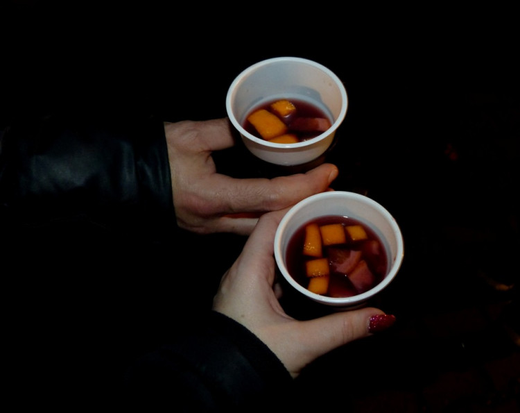 Večerní povánoční prohlídka jihlavské zoo