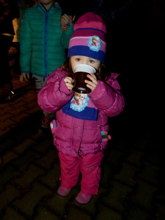 Večerní povánoční prohlídka jihlavské zoo