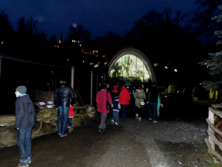 Večerní povánoční prohlídka jihlavské zoo
