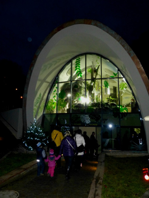 Večerní povánoční prohlídka jihlavské zoo