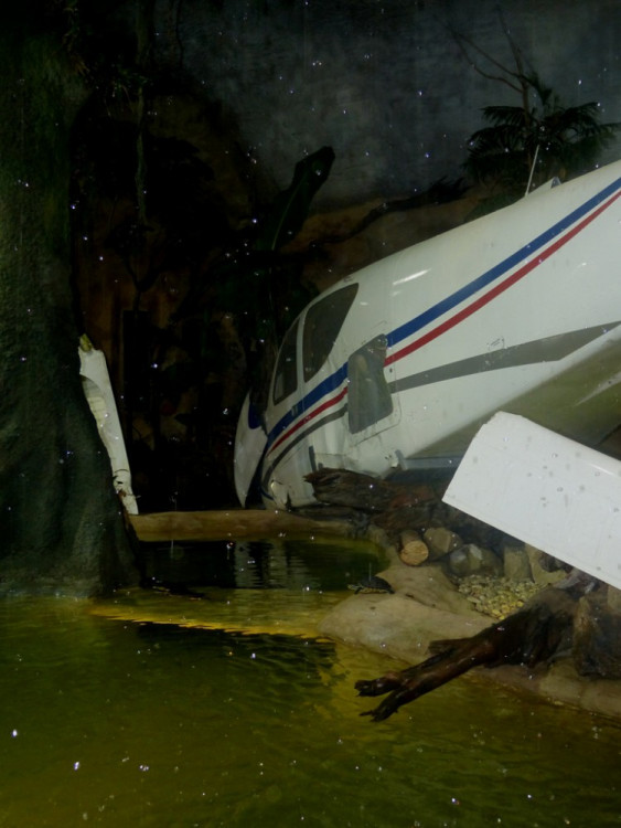 Večerní povánoční prohlídka jihlavské zoo