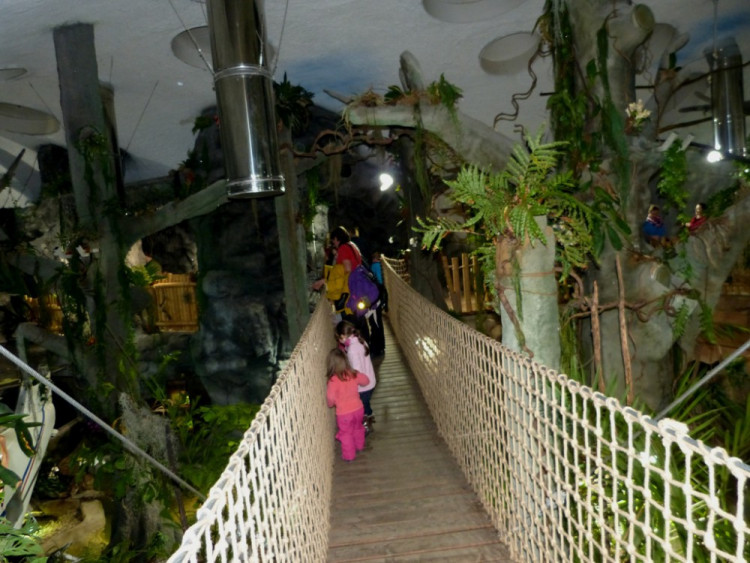 Večerní povánoční prohlídka jihlavské zoo