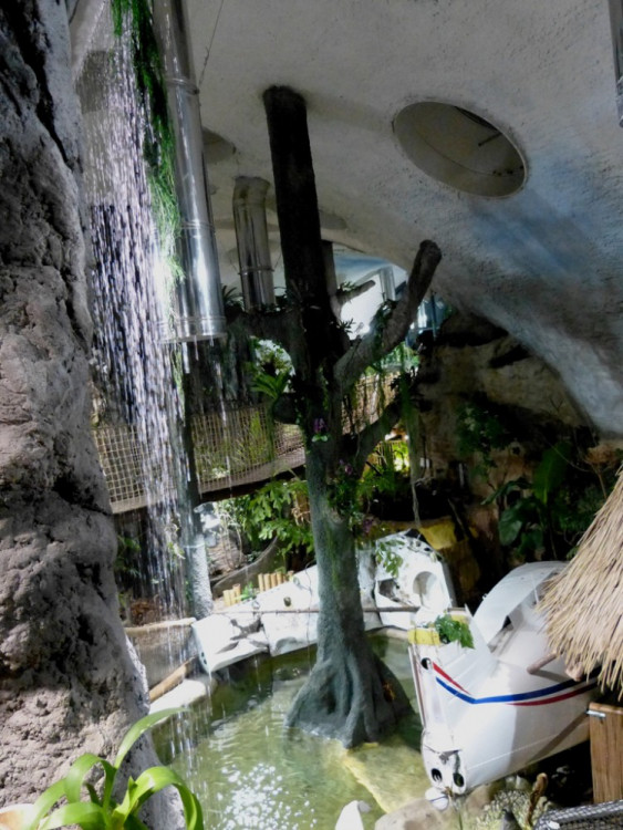 Večerní povánoční prohlídka jihlavské zoo