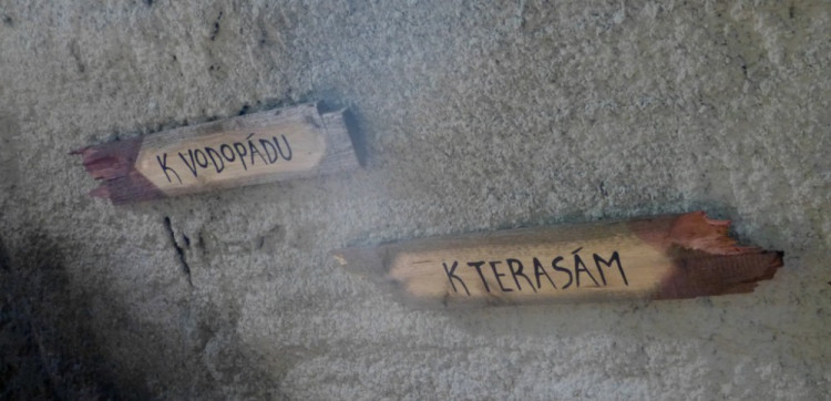 Večerní povánoční prohlídka jihlavské zoo