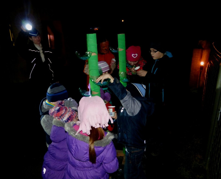 Večerní povánoční prohlídka jihlavské zoo