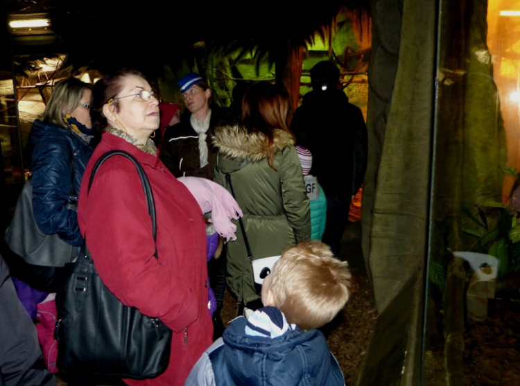 Večerní povánoční prohlídka jihlavské zoo