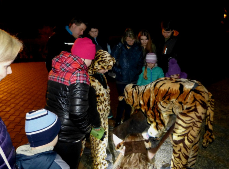 Večerní povánoční prohlídka jihlavské zoo