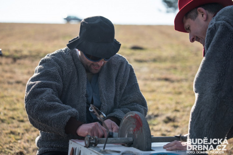 Masopust Střížov 2016