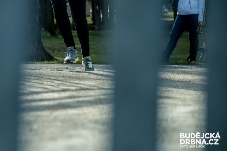 Winter Run se zúčastnila početná skupina běžeckých nadšenců