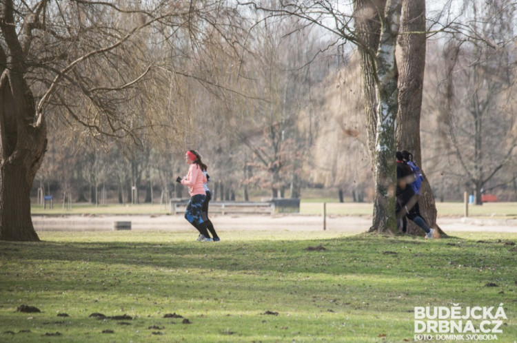 Winter Run se zúčastnila početná skupina běžeckých nadšenců