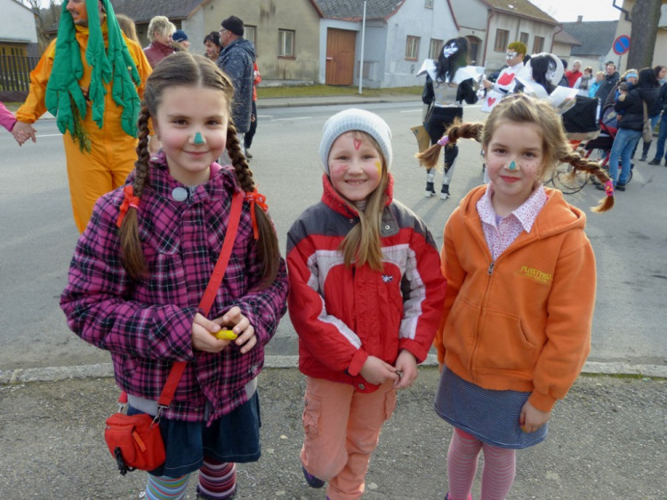 Dolní Cerekví na Jihlavsku prošel masopustní průvod