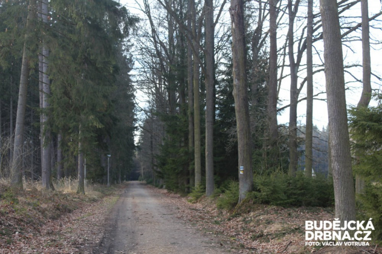 Jihočeské toulky: Trocnov