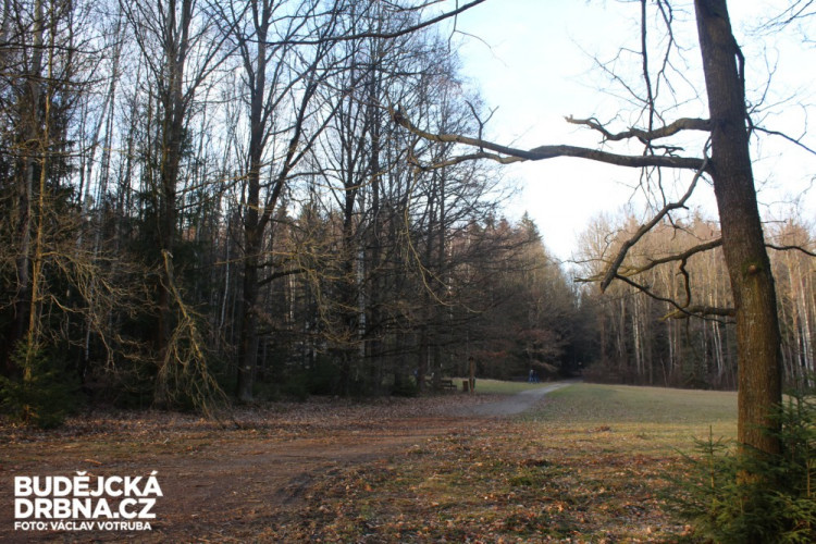 Jihočeské toulky: Trocnov