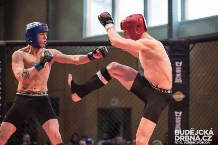 Amatérské mistrovství ČR v MMA