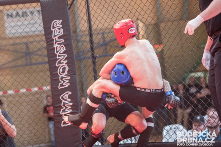 Amatérské mistrovství ČR v MMA