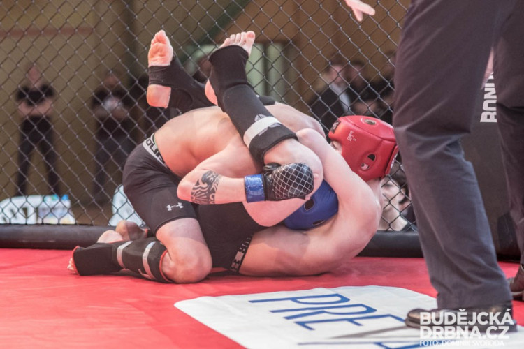 Amatérské mistrovství ČR v MMA