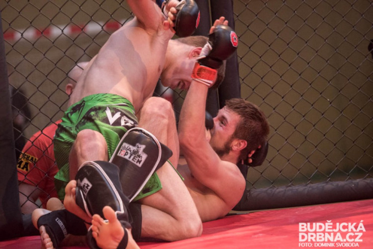 Amatérské mistrovství ČR v MMA