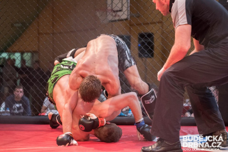 Amatérské mistrovství ČR v MMA