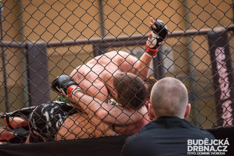 Amatérské mistrovství ČR v MMA