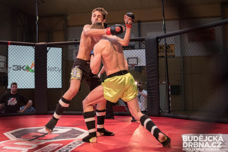 Amatérské mistrovství ČR v MMA