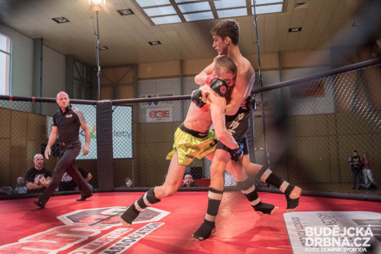 Amatérské mistrovství ČR v MMA