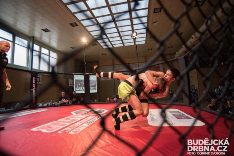 Amatérské mistrovství ČR v MMA