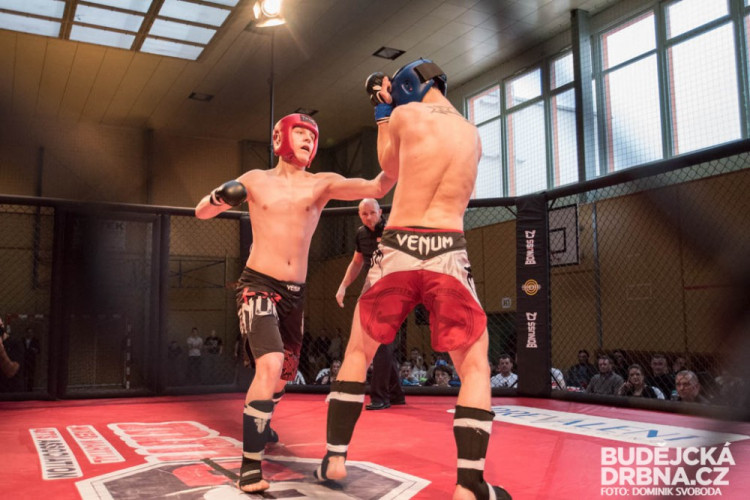 Amatérské mistrovství ČR v MMA