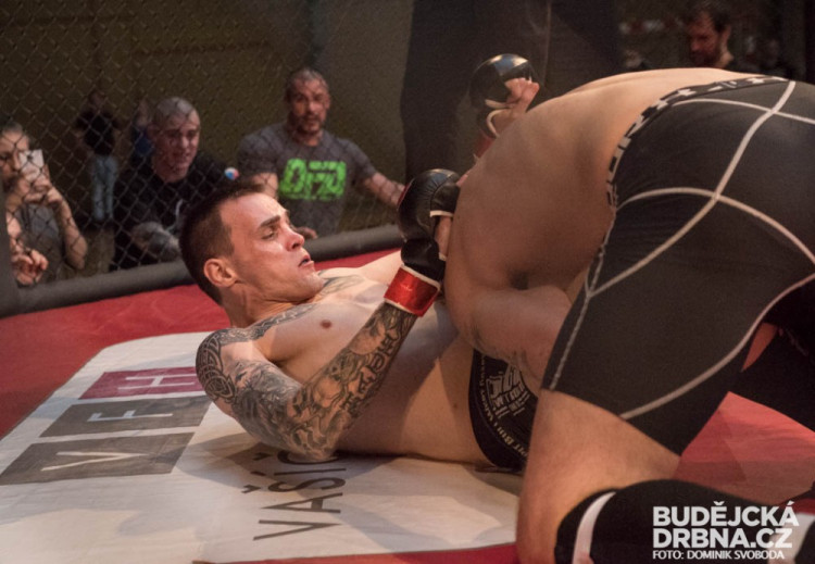 Amatérské mistrovství ČR v MMA