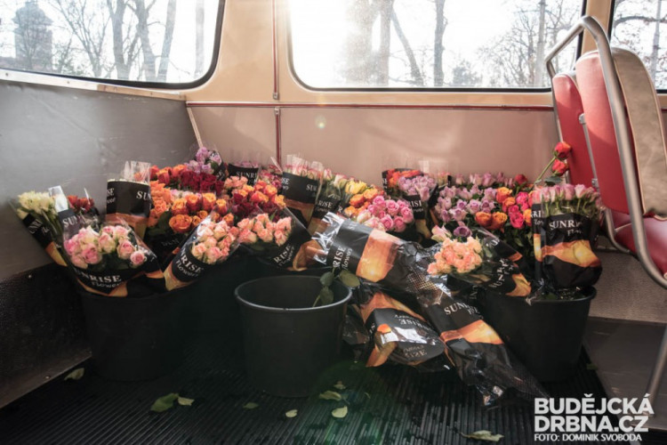 Dopravní podnik rozdával ženám růže k MDŽ