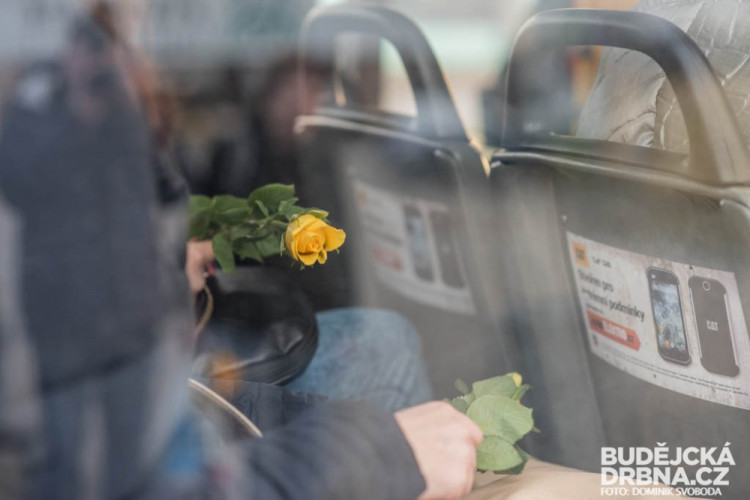 Dopravní podnik rozdával ženám růže k MDŽ