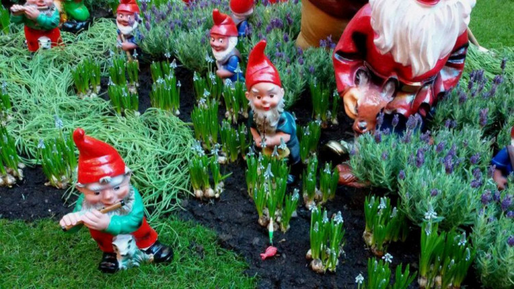 První setkání trpaslíků v jihlavském City Parku