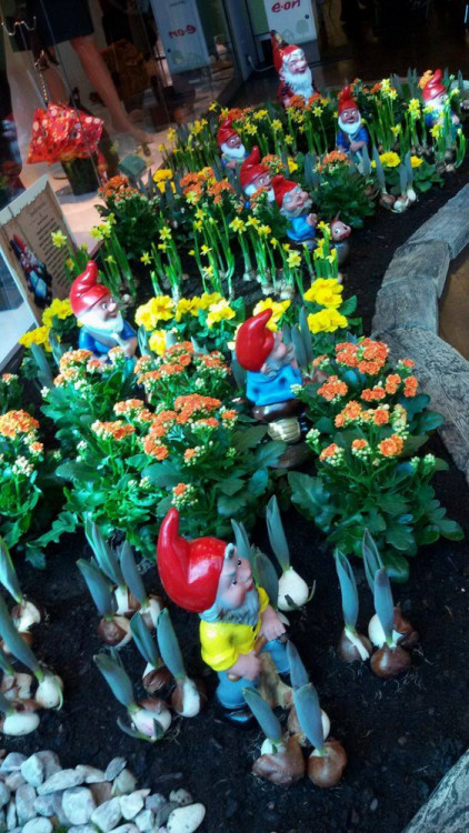 První setkání trpaslíků v jihlavském City Parku