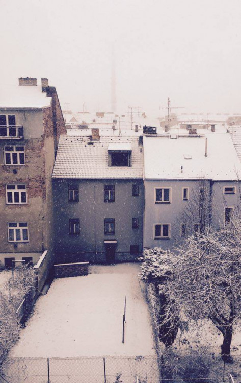 Jaro se blíží, ale zima ještě ukazuje svou sílu. Foto: Jan Novotný