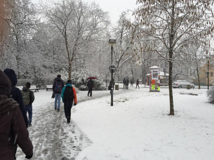 Jaro se blíží, ale zima ještě ukazuje svou sílu. Foto: Petr Vajrauch