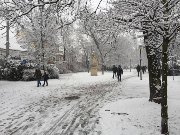 Jaro se blíží, ale zima ještě ukazuje svou sílu. Foto: Petr Vajrauch