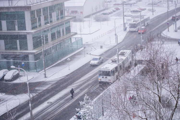 Jaro se blíží, ale zima ještě ukazuje svou sílu. Foto: Jan Luxík