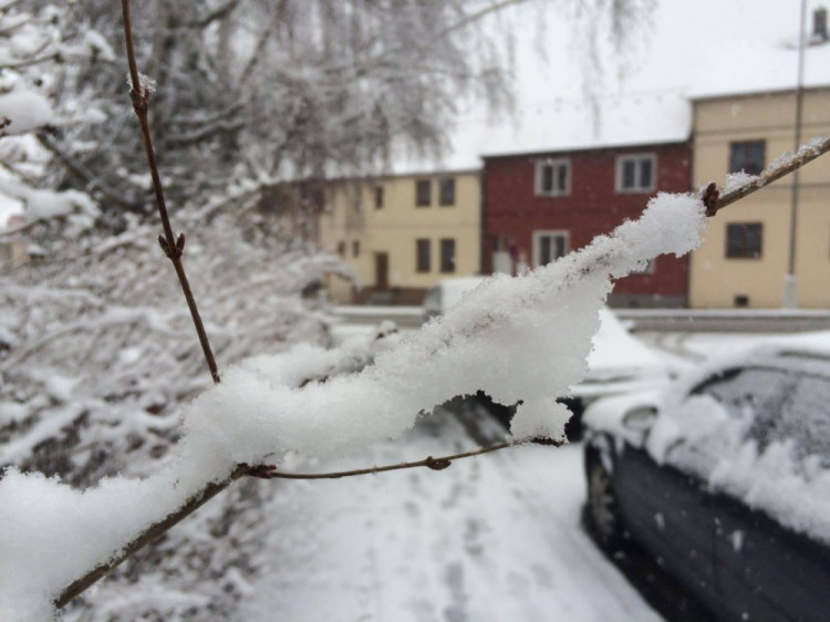 Jaro se blíží, ale zima ještě ukazuje svou sílu. Auto: Dominik Svoboda