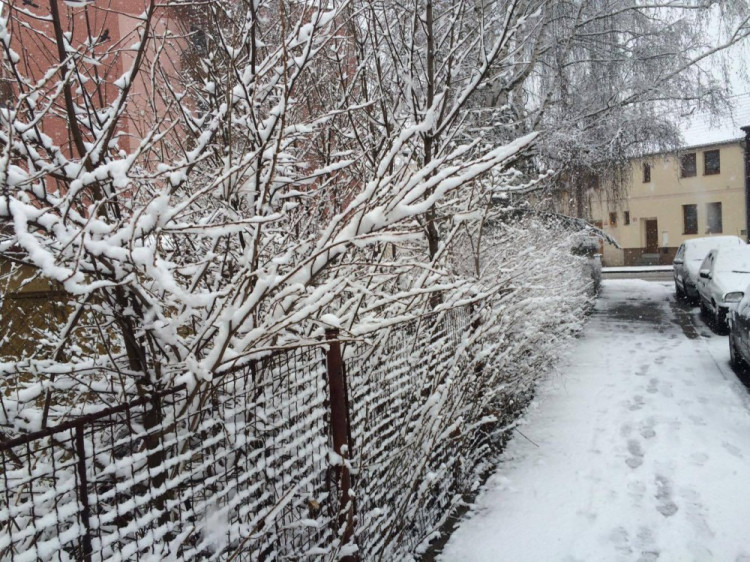 Jaro se blíží, ale zima ještě ukazuje svou sílu. Auto: Dominik Svoboda