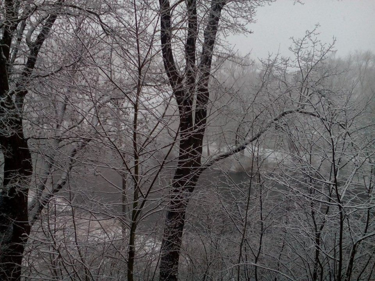 Jaro se blíží, ale zima ještě ukazuje svou sílu. Foto: Karin Velkoborská Zárubová