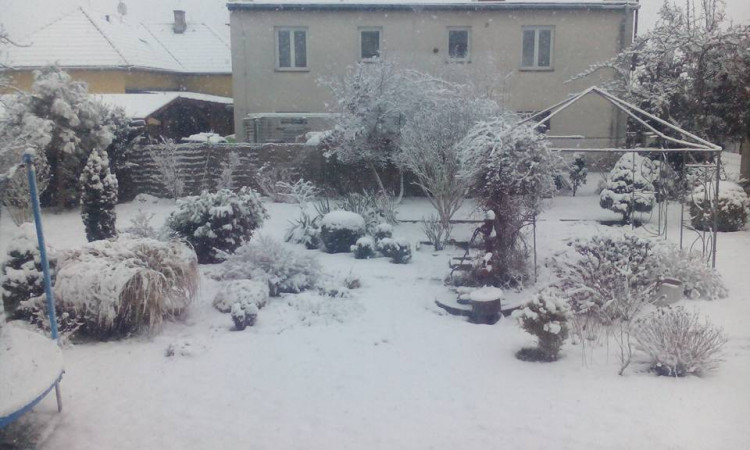 Zasněžená Planá. Foto: Nela Fucimanová 