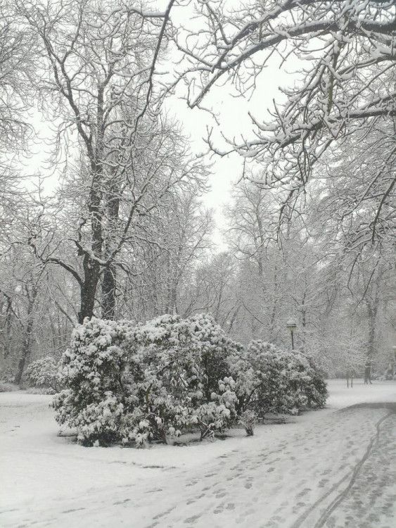 Jaro se blíží, ale zima ještě ukazuje svou sílu. Foto: Petr Klíma