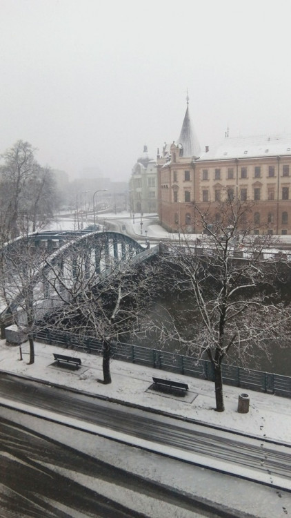 A to už na mě včera konečně přišla jarní nálada! :-/ Foto: Kristýna Merthová
