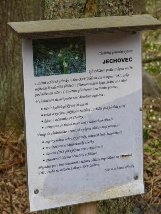 Bledule u Staré Říše