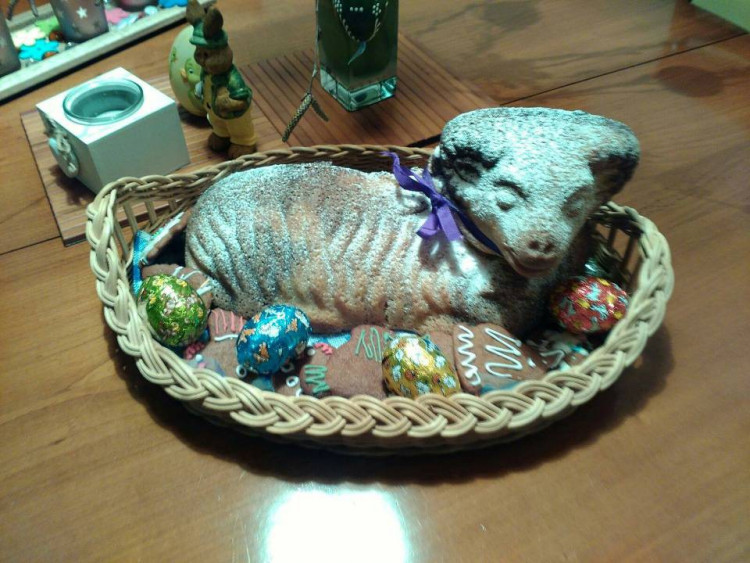 Autorka: Hana Nováková