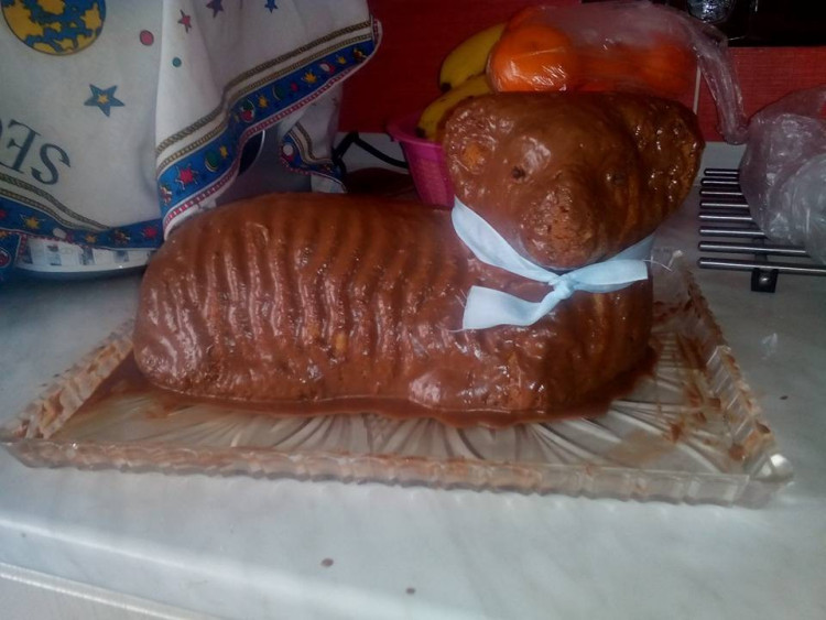 Autorka: Petra Václavková