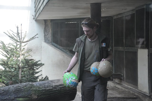 Zvířata v liberecké zoo slavila Velikonoce. Dostala papírová vejce s dobrotami