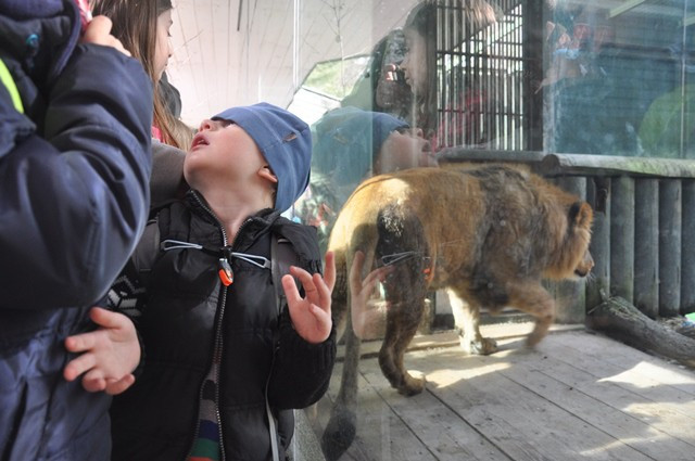 Zvířata v liberecké zoo slavila Velikonoce. Dostala papírová vejce s dobrotami